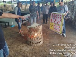 Polres Tulungagung gerebek Kalangan Judi Sabung Ayam Desa Gedanga