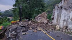 Jalan Nasional Trenggalek-Ponorogo Lumpuh Total Akibat Longsor di KM 16 Nglinggis